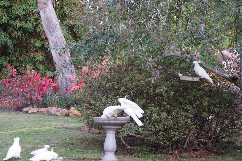 Photo of Outdoor in Blackheath