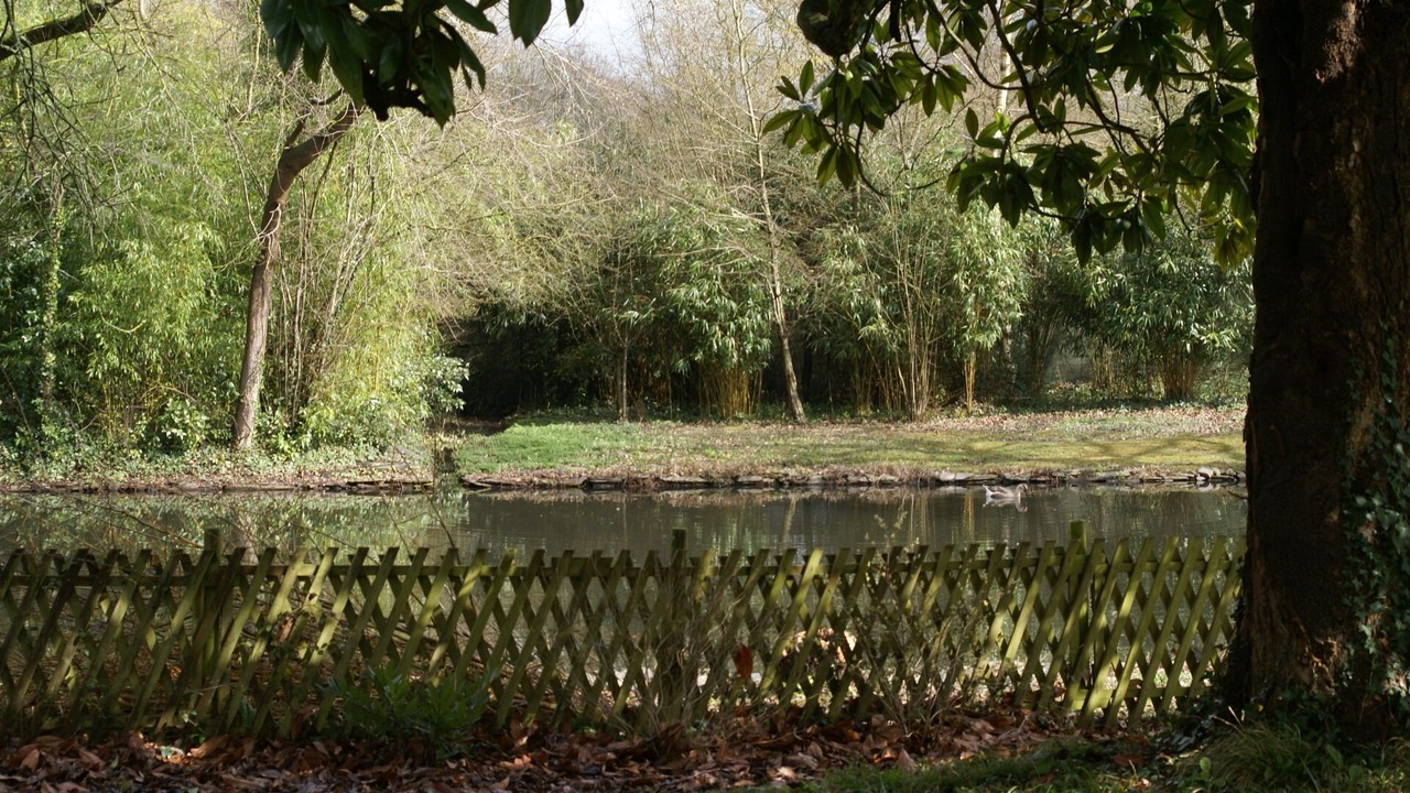 Photo of Outdoor in Cande