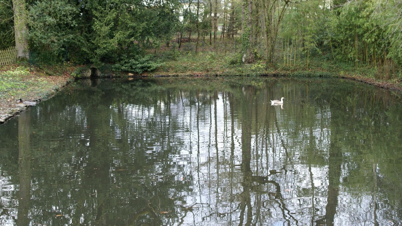 Photo of Outdoor in Cande