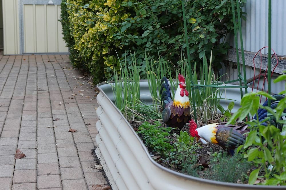 Photo of Outdoor in Walkerville