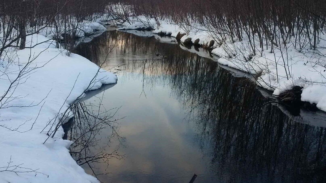 Photo of Others in Lac-McGregor