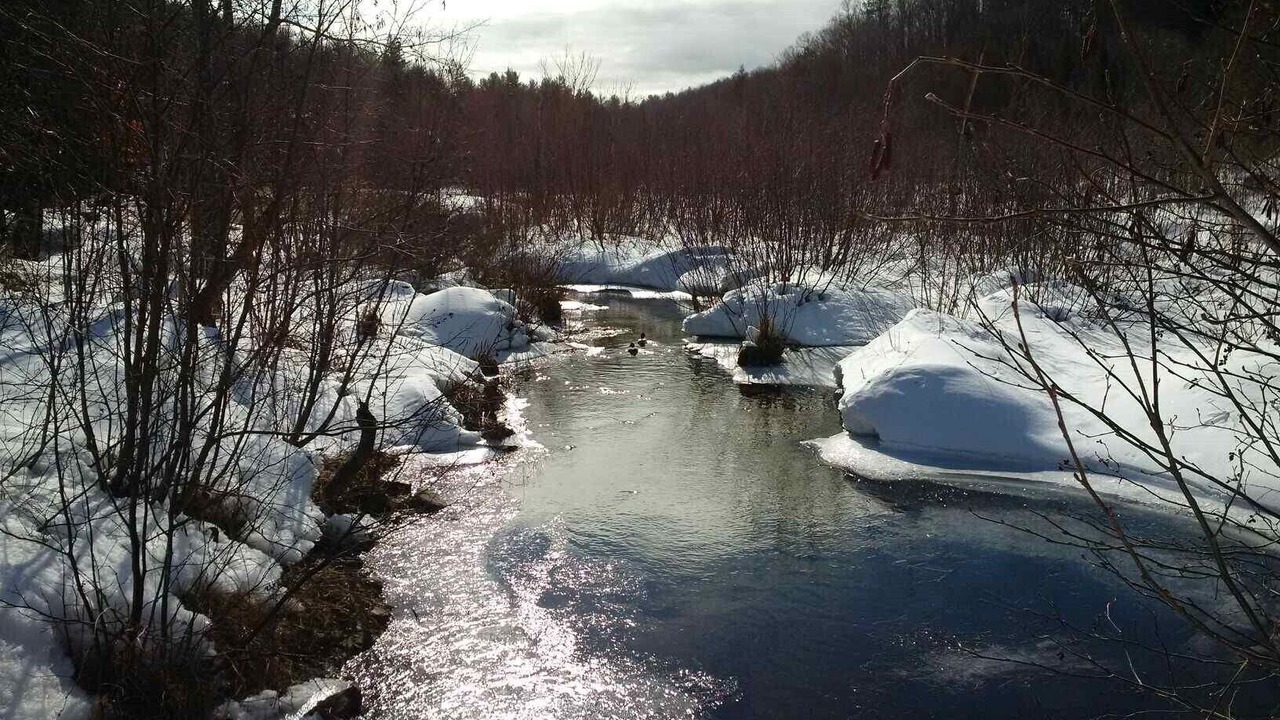 Photo of Others in Lac-McGregor