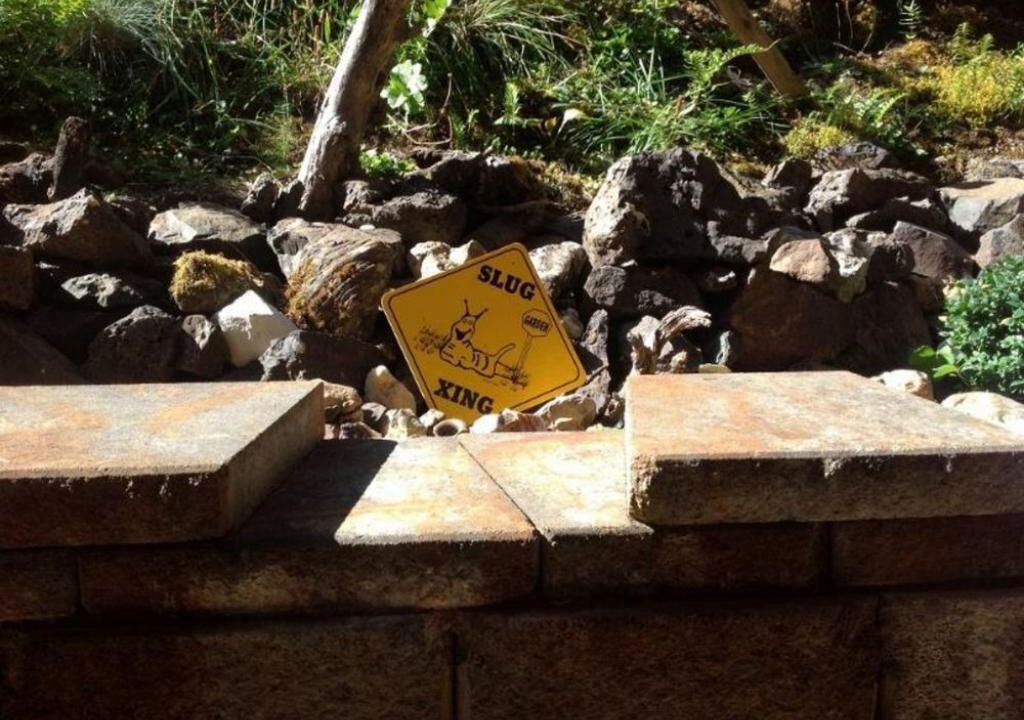 Photo of Outdoor in Saginaw