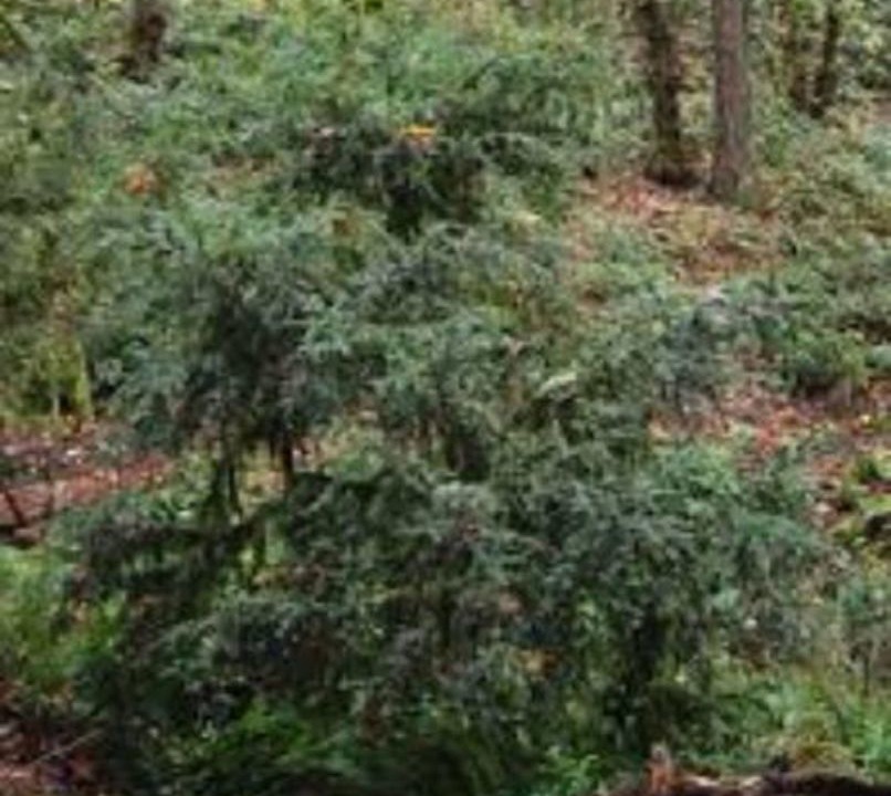 Photo of Outdoor in Saginaw