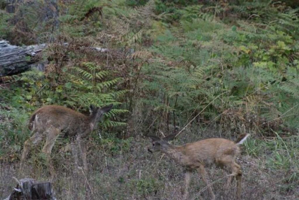 Photo of Others in Saginaw