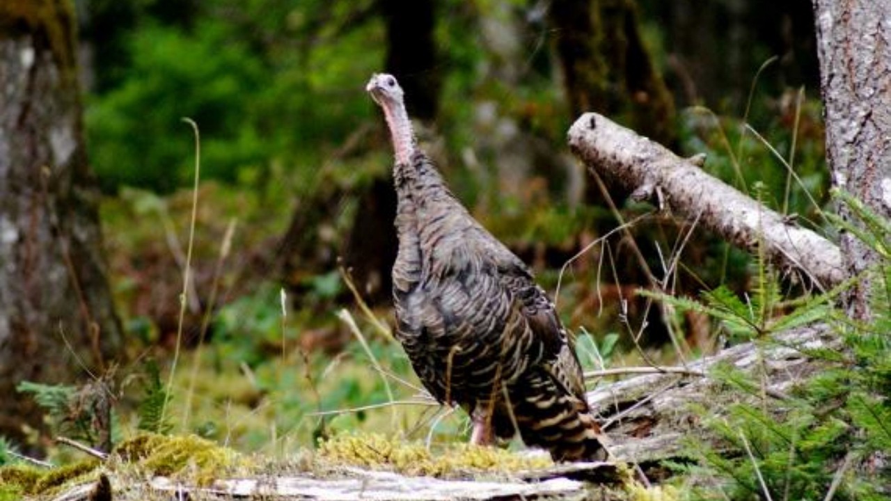 Photo of Others in Saginaw