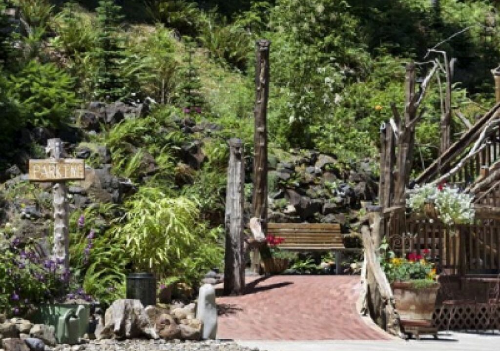 Photo of Outdoor in Saginaw