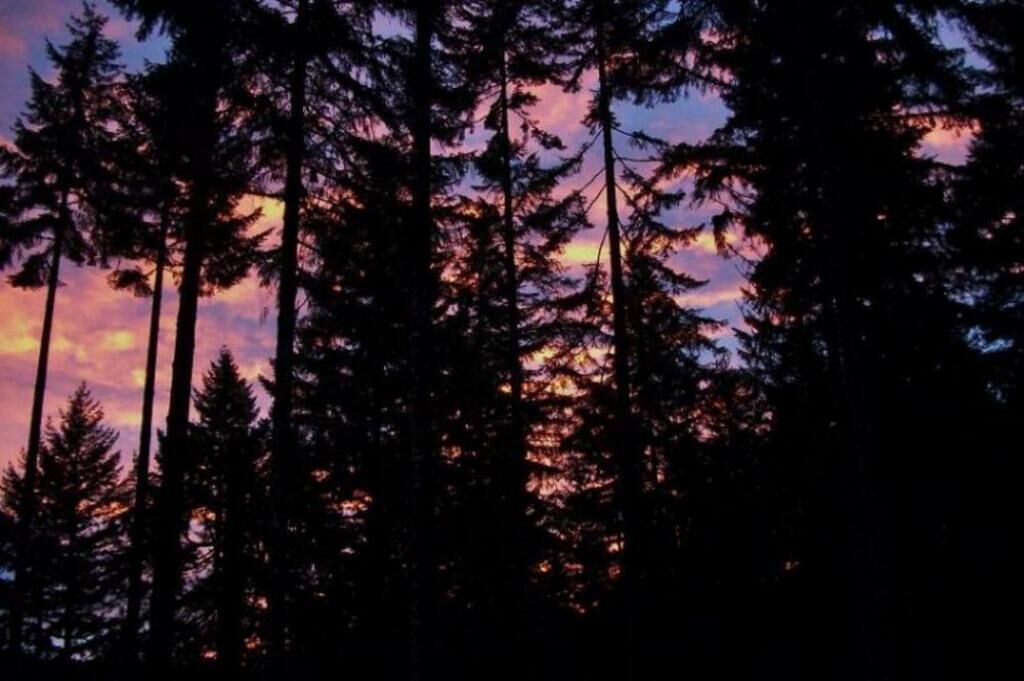 Photo of Others in Saginaw