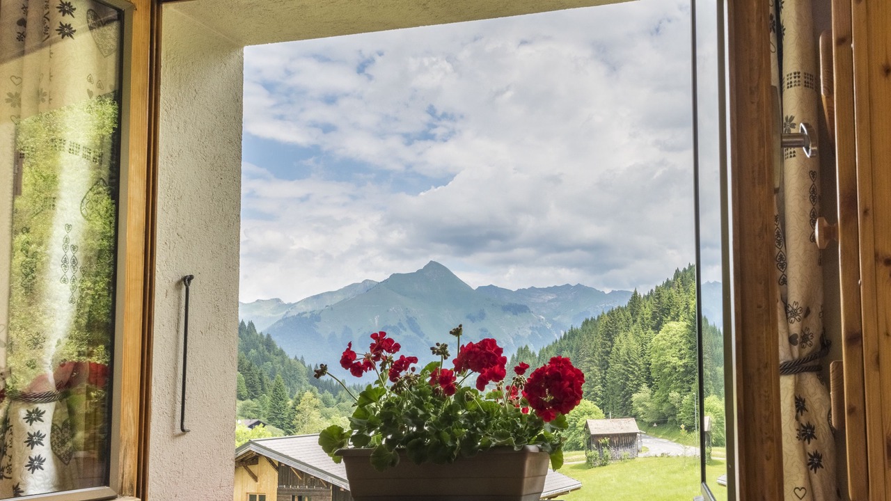 Photo of Others in Les Gets