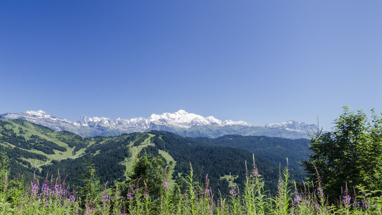 Photo of Others in Les Gets