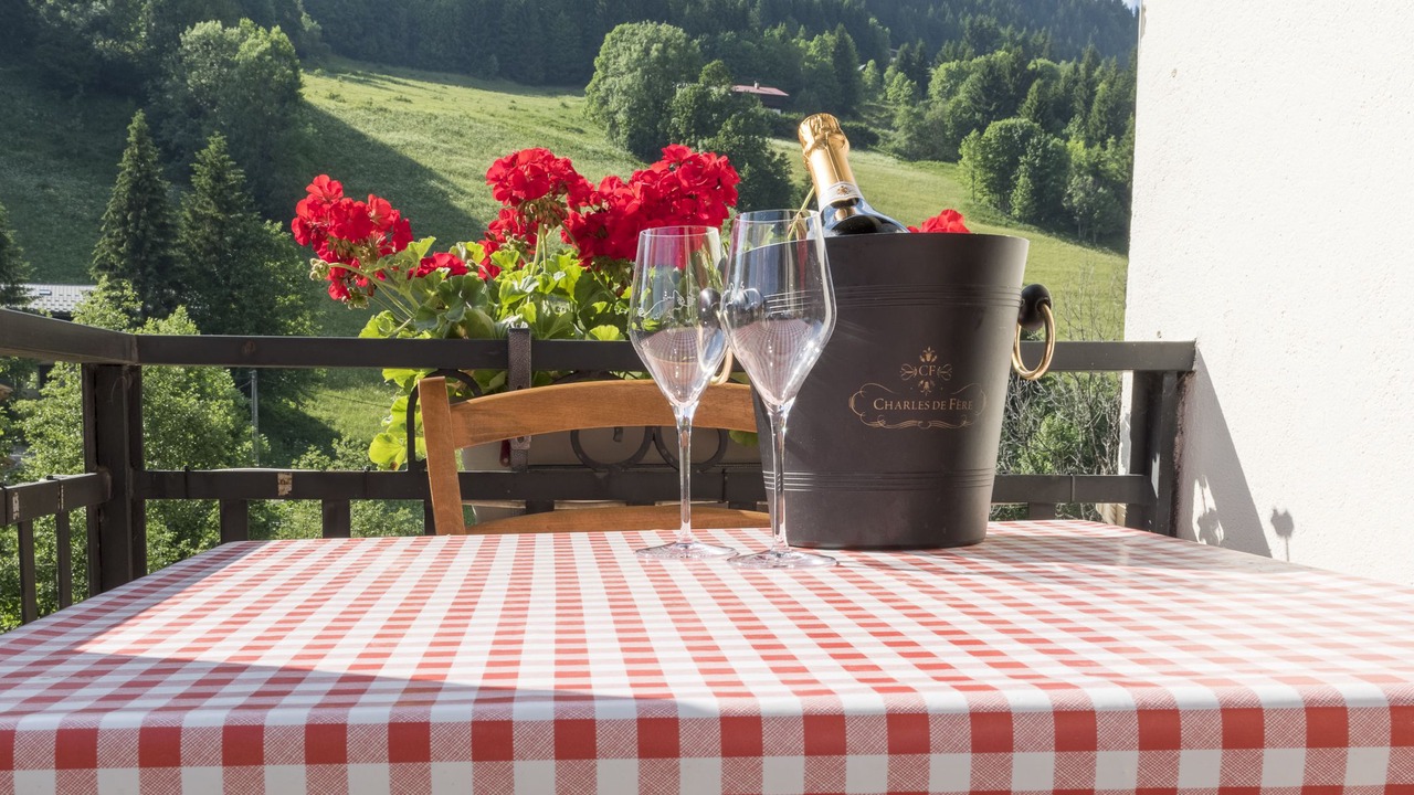 Photo of Others in Les Gets