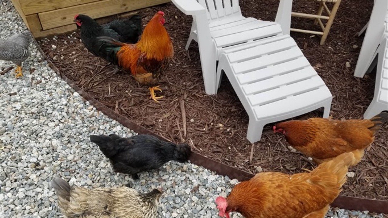 Photo of Patio Balcony in Mooresville