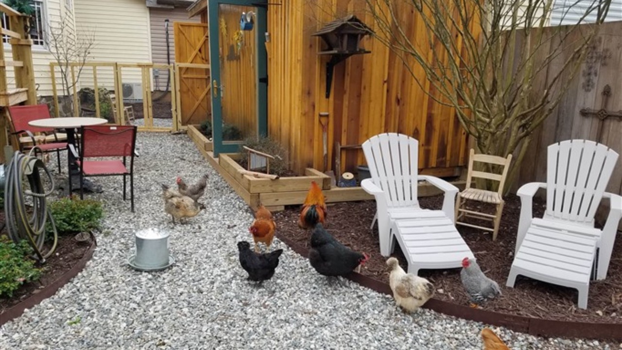 Photo of Outdoor in Mooresville