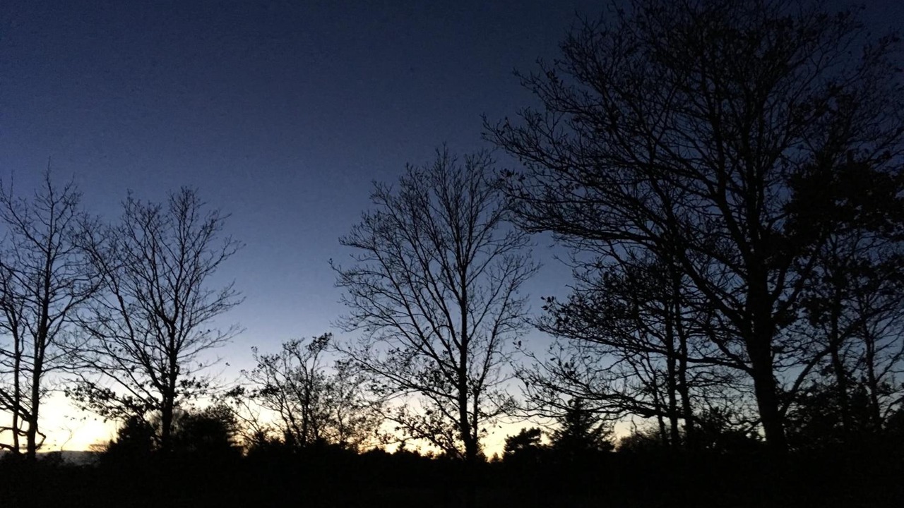 Photo of Outdoor in Aalbaek