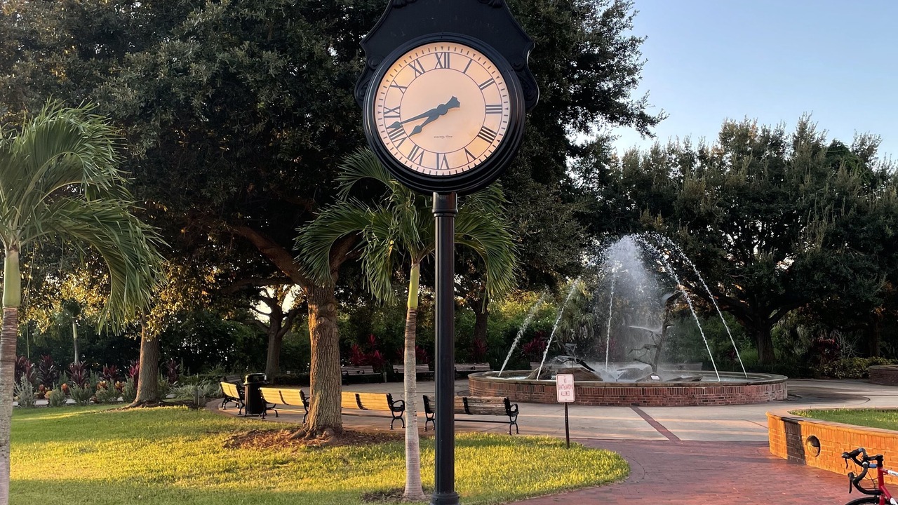 Photo of Others in Safety Harbor