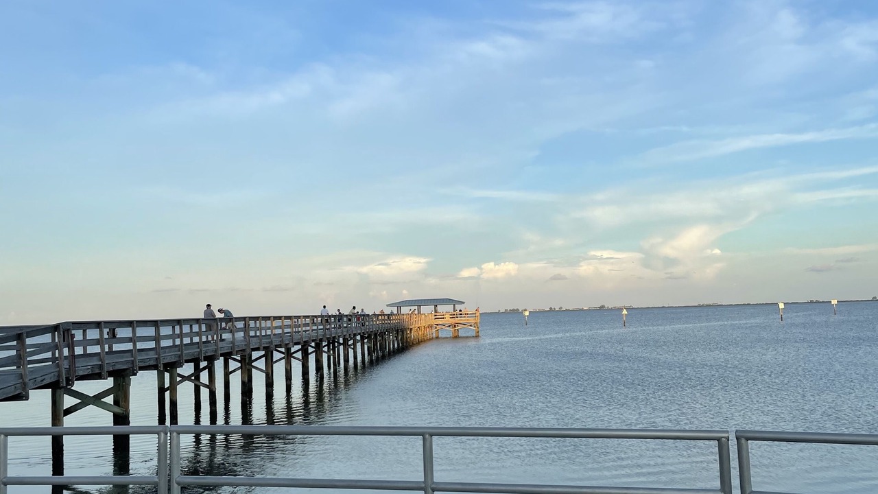 Photo of Others in Safety Harbor