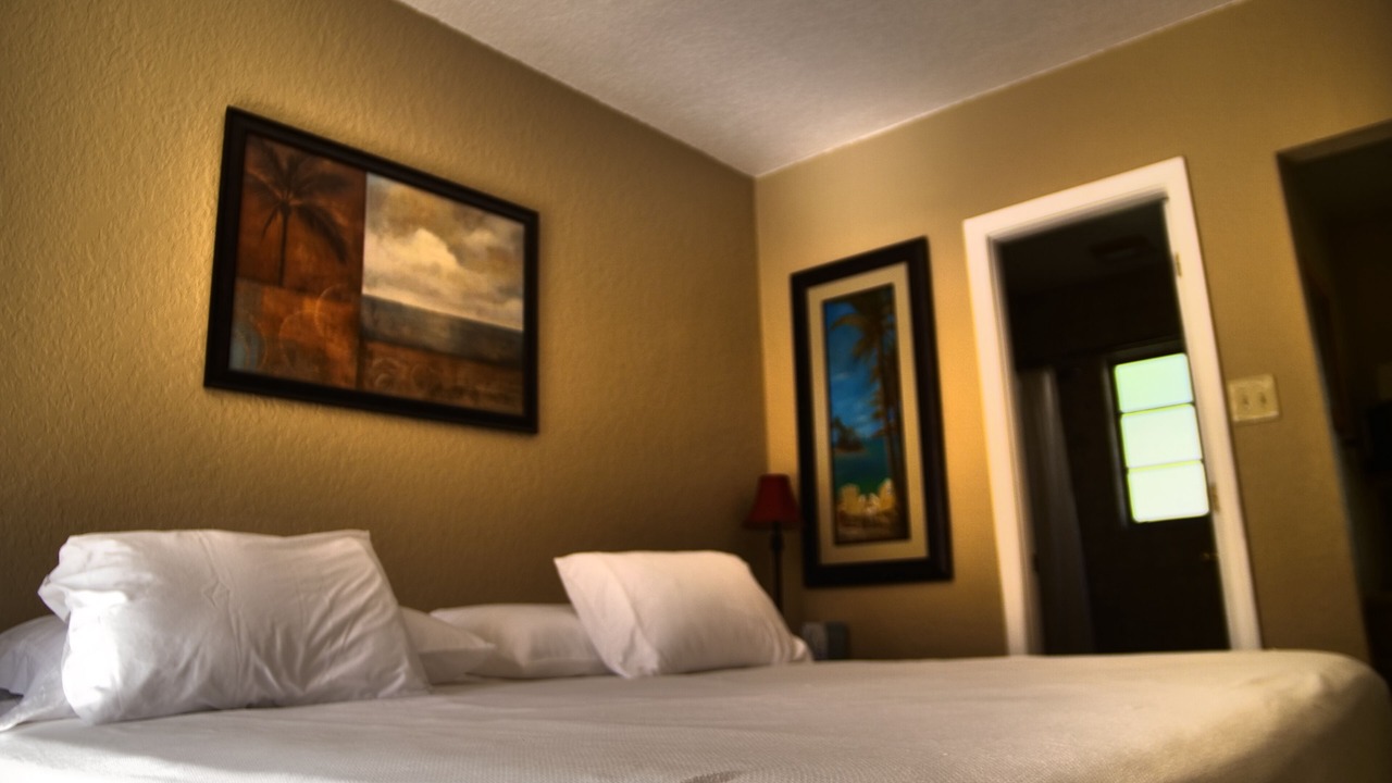 Photo of Others in Safety Harbor