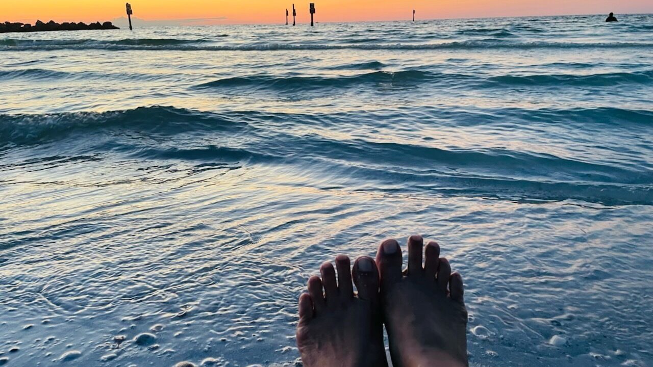 Photo of Others in Safety Harbor