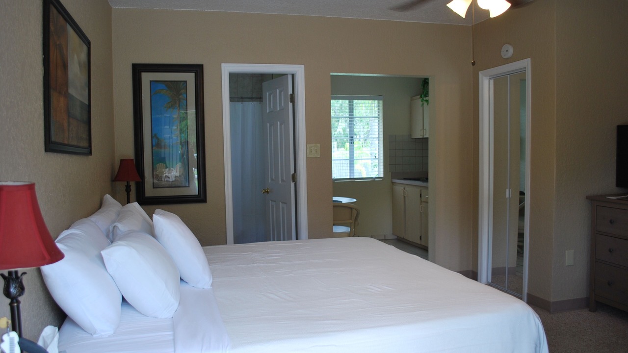 Photo of Outdoor in Safety Harbor