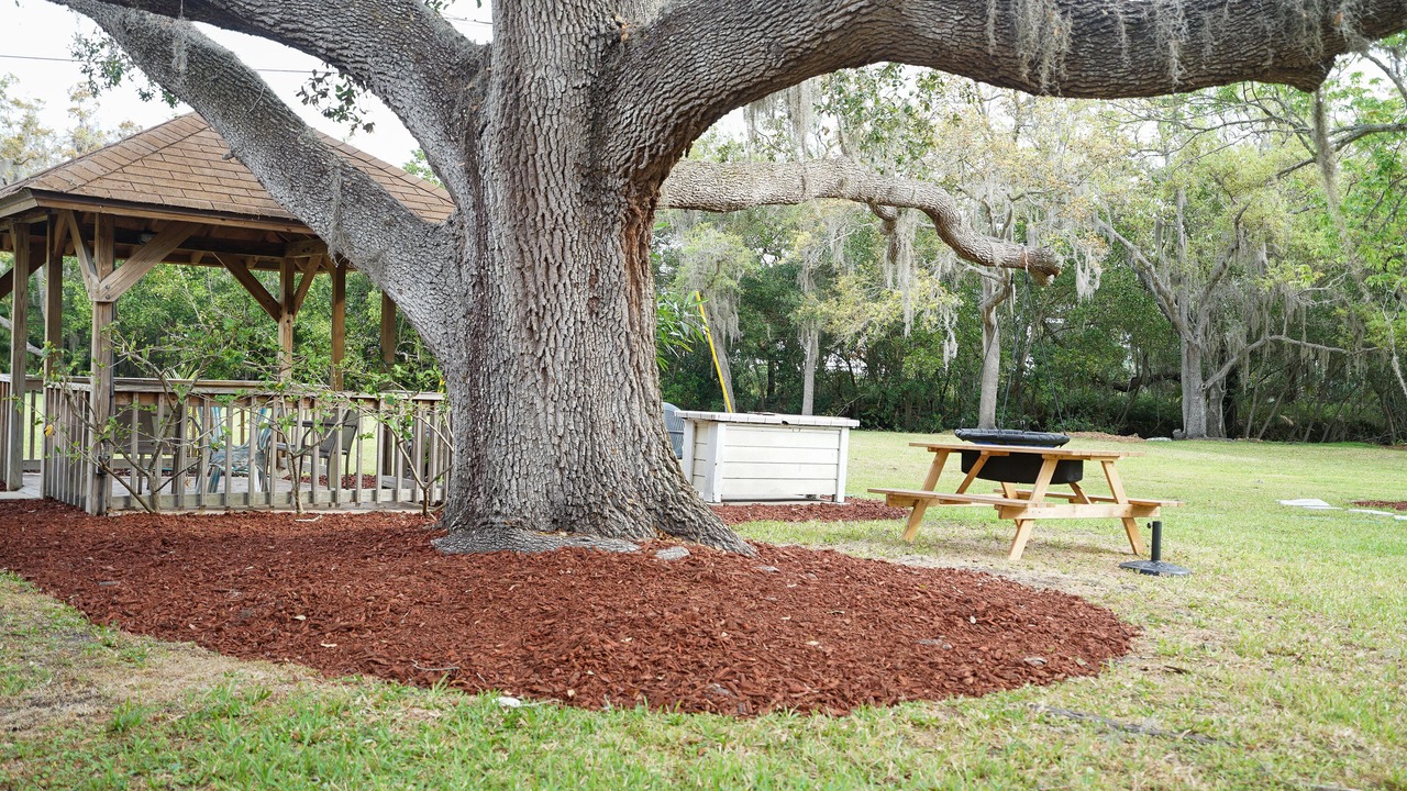 Photo of Outdoor in Safety Harbor