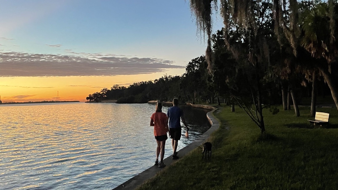 Photo of Others in Safety Harbor