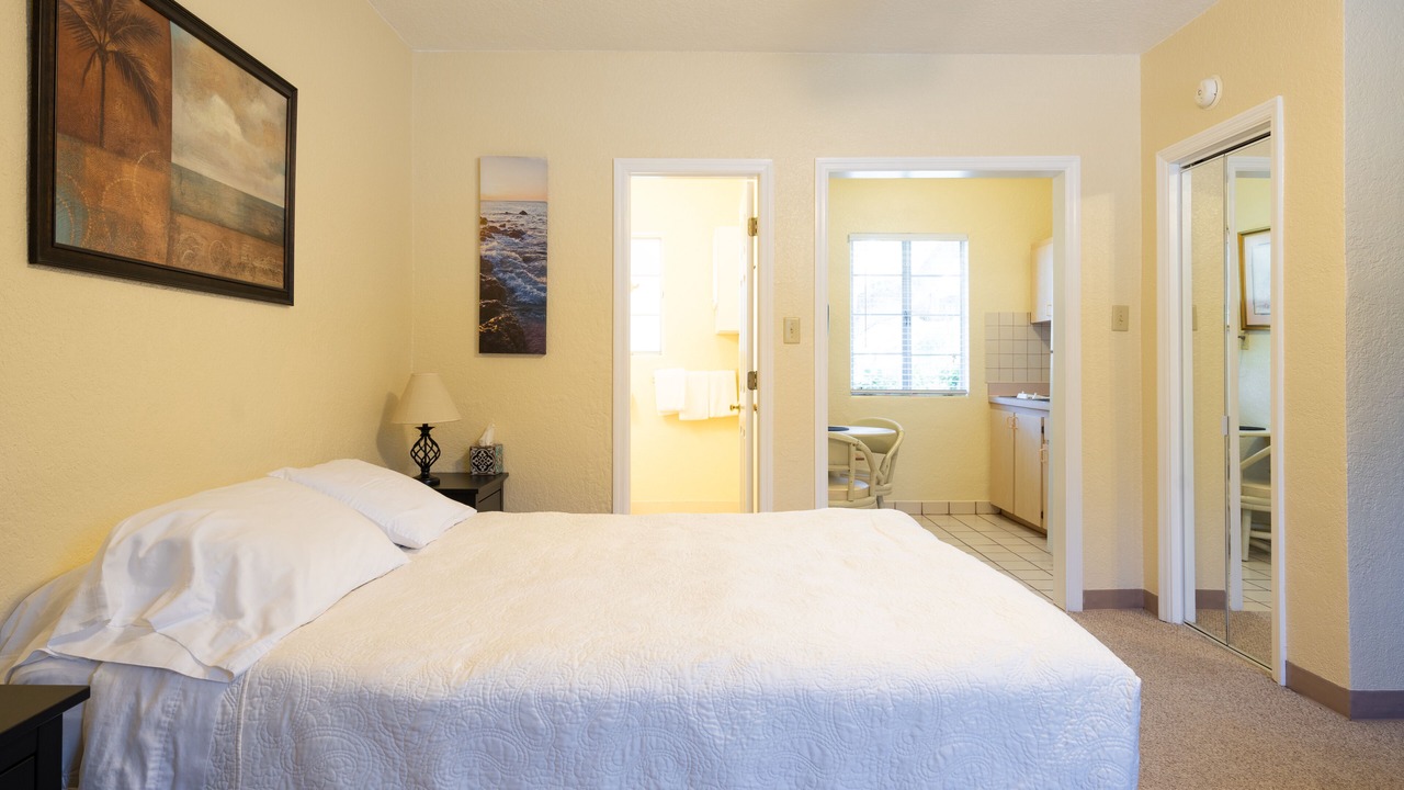 Photo of Others in Safety Harbor