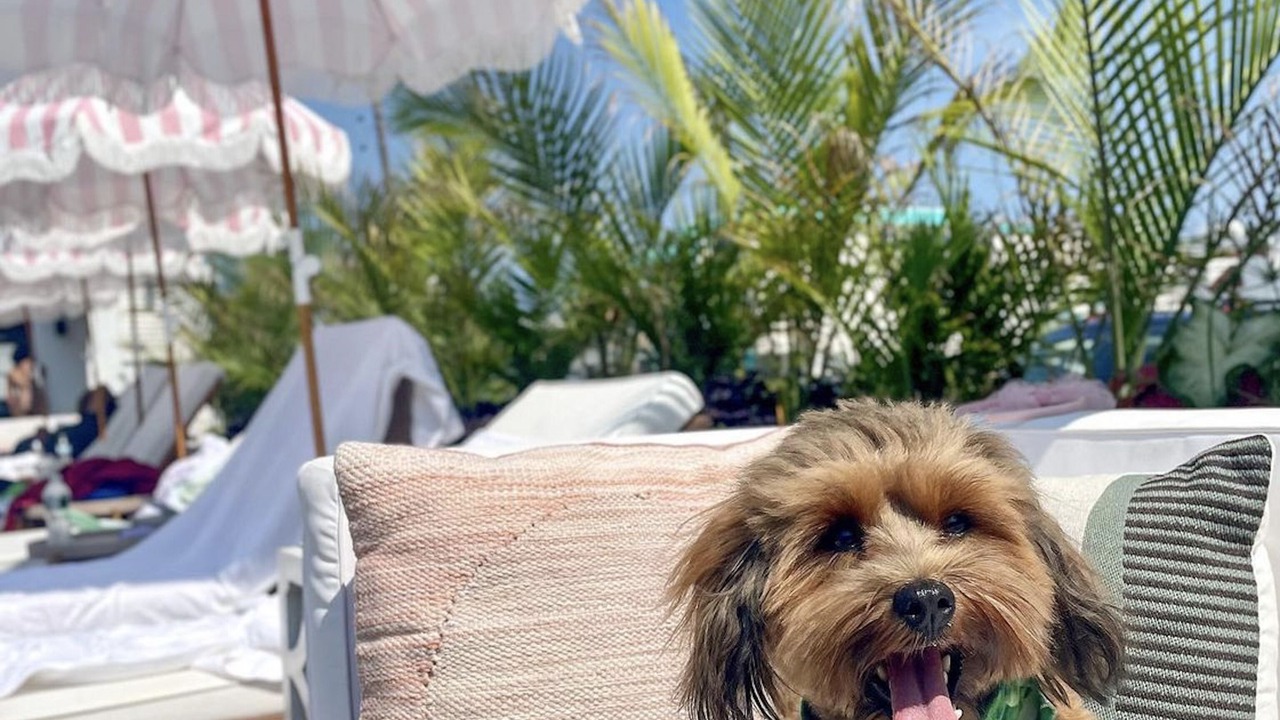 Photo of Others in North Wildwood