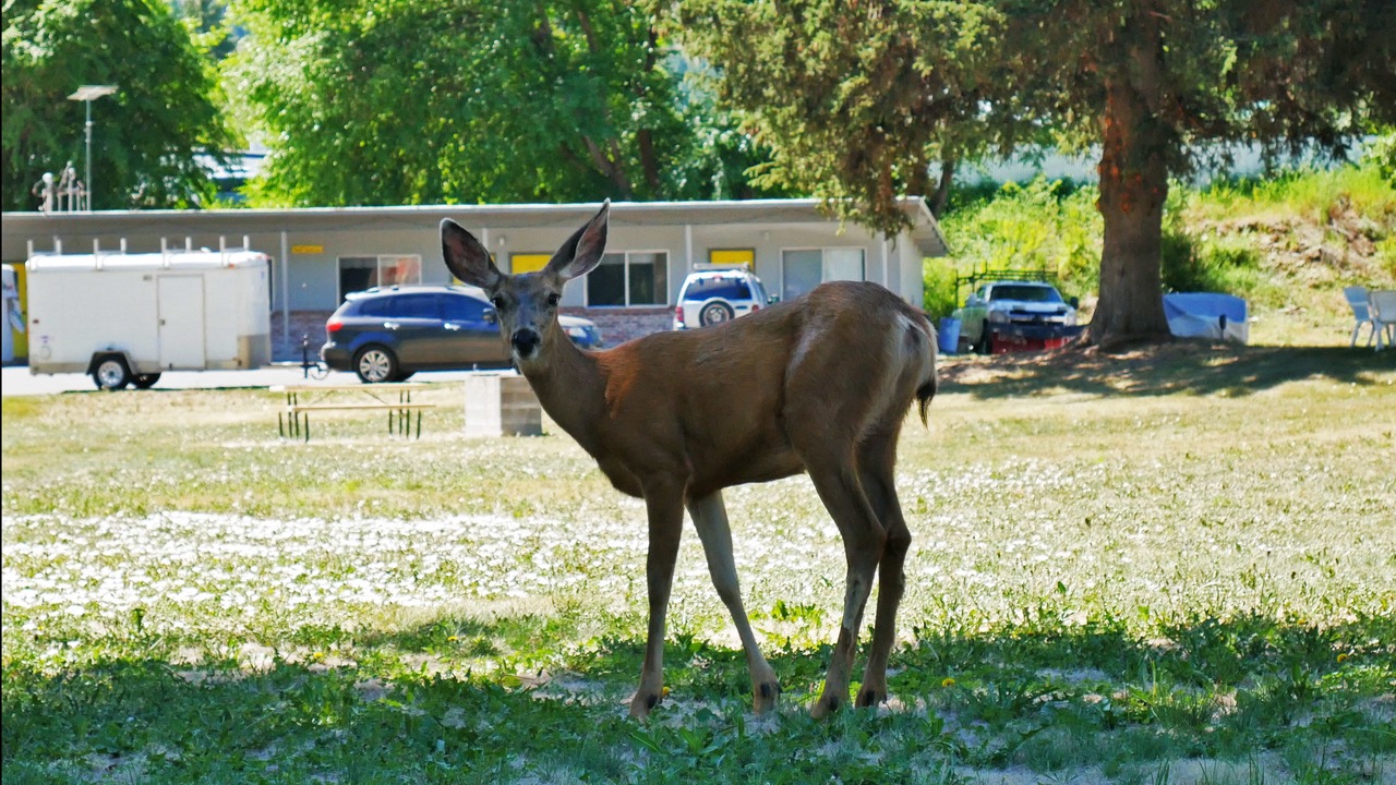 Photo of Outdoor in Twisp