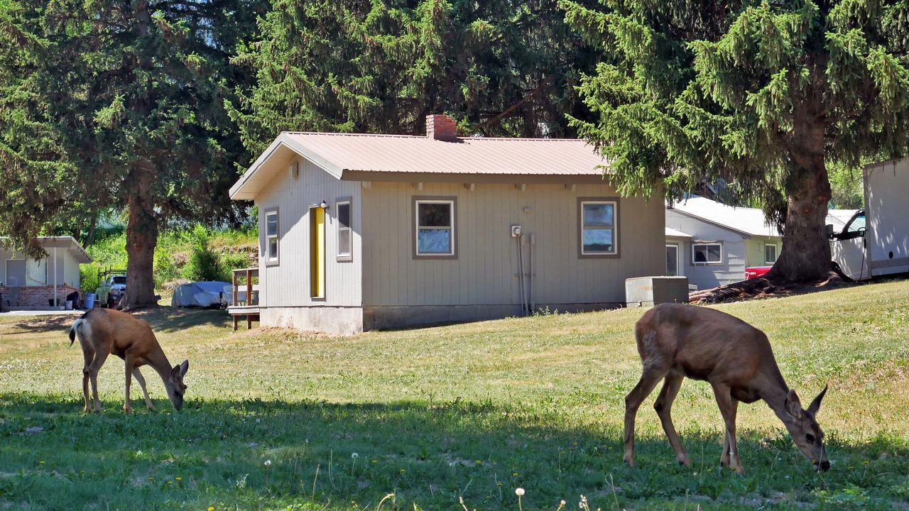 Photo of Outdoor in Twisp