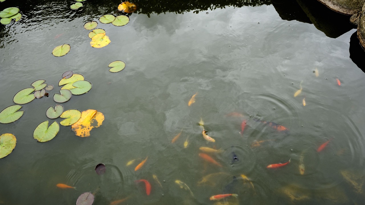 Photo of Others in Horsens