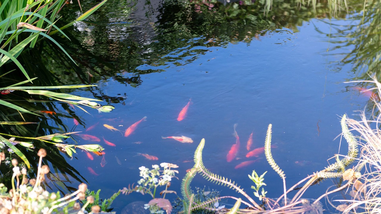 Photo of Patio Balcony in Horsens