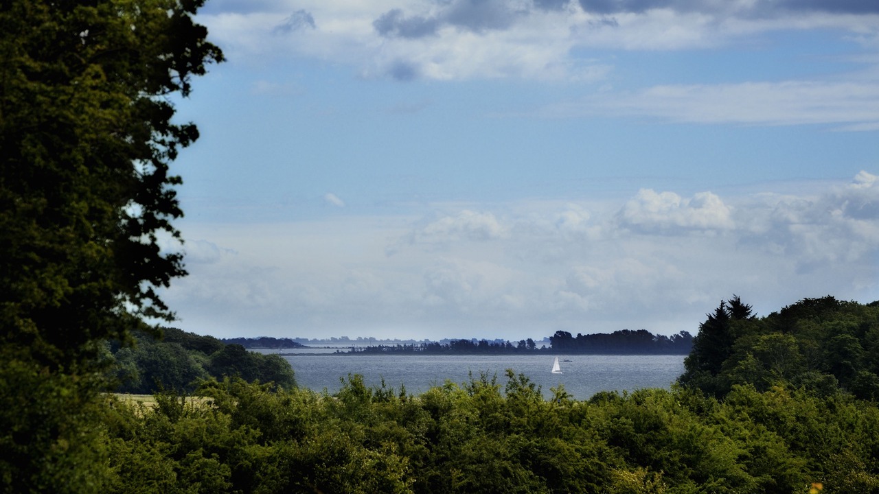 Photo of Others in Horsens