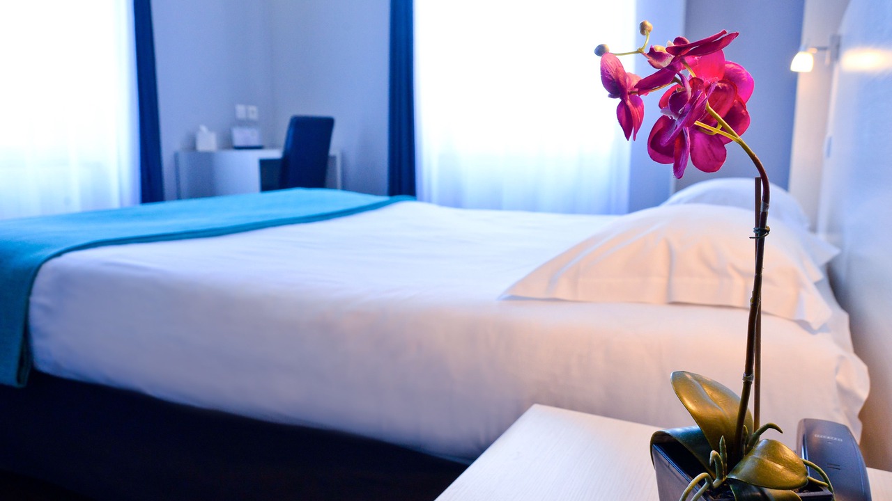 Photo of Others in Feurs