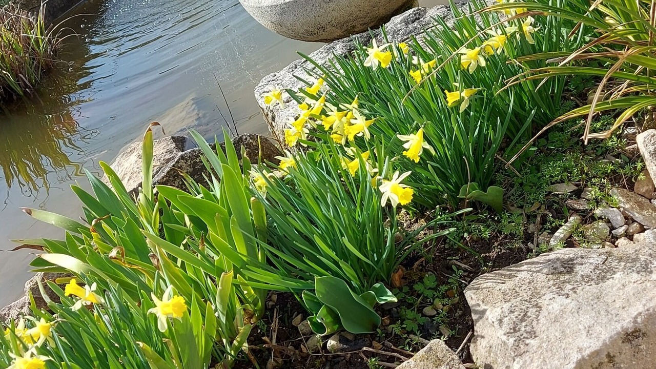 Photo of Outdoor in Chaneins