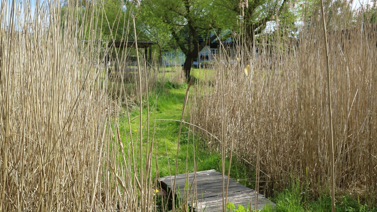 Photo of Outdoor in Faldsled