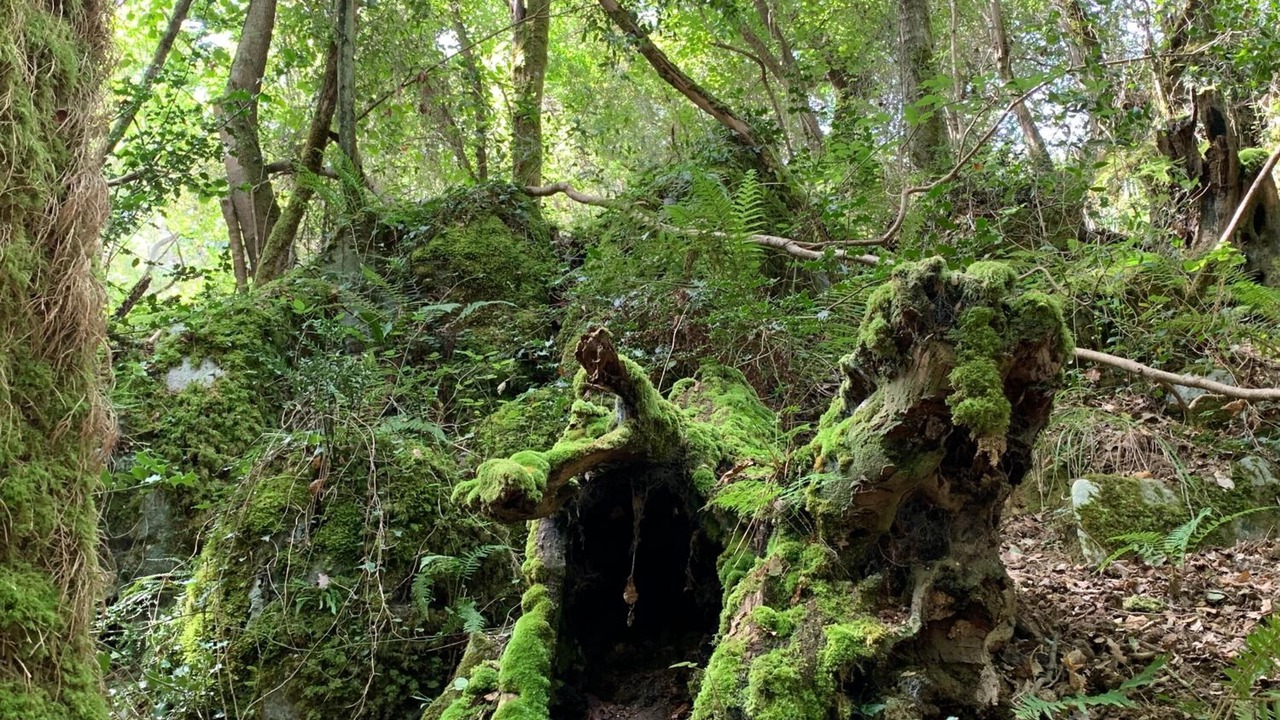 Photo of Outdoor in Gautegiz Arteaga