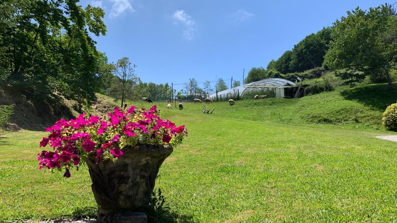 Photo of Outdoor in Gautegiz Arteaga