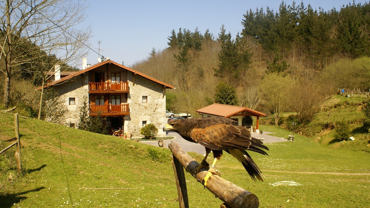 Photo of Outdoor in Gautegiz Arteaga