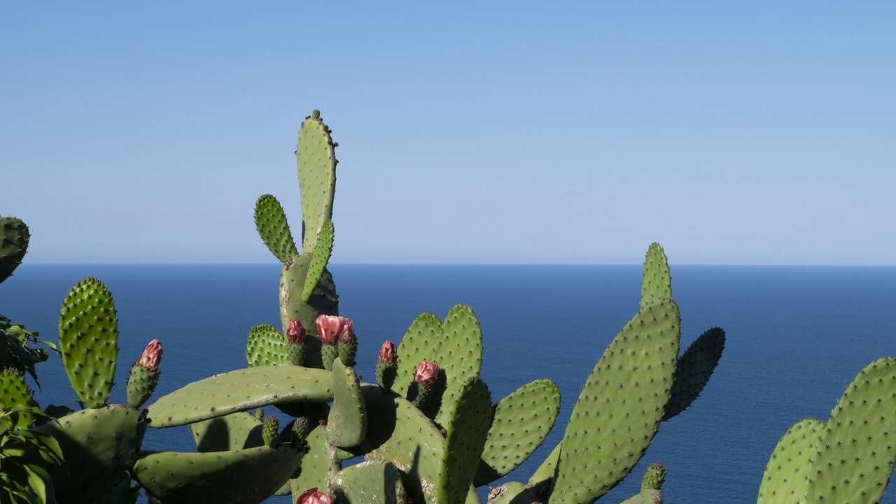 Photo of Outdoor in Llafranc