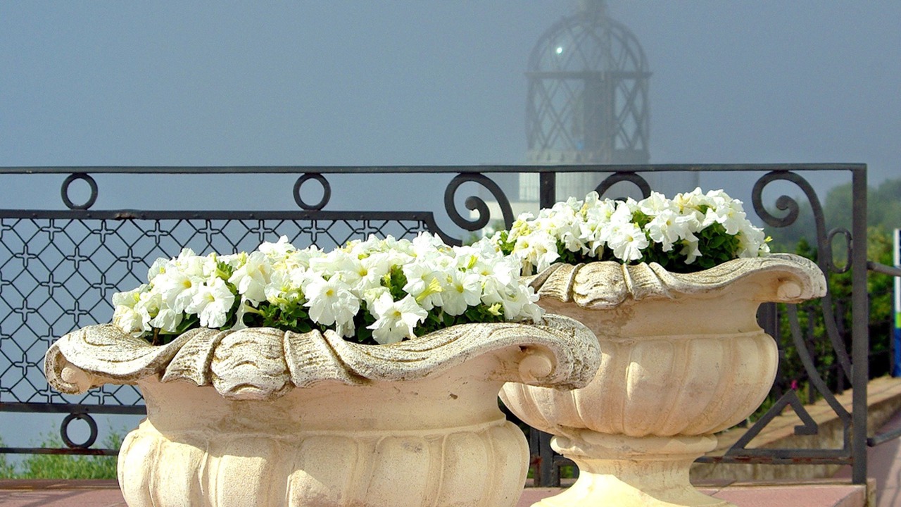Photo of Outdoor in Llafranc