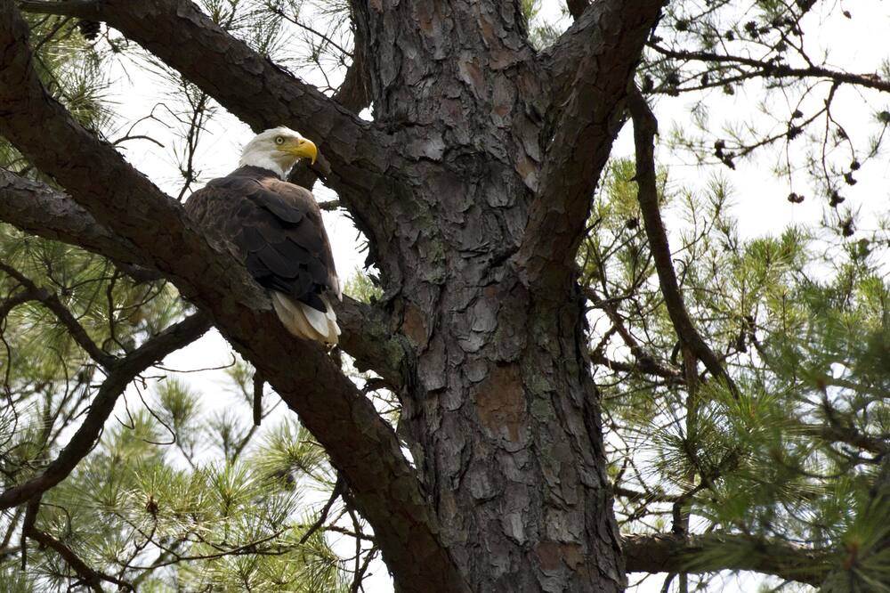 Photo of Outdoor in Bismarck