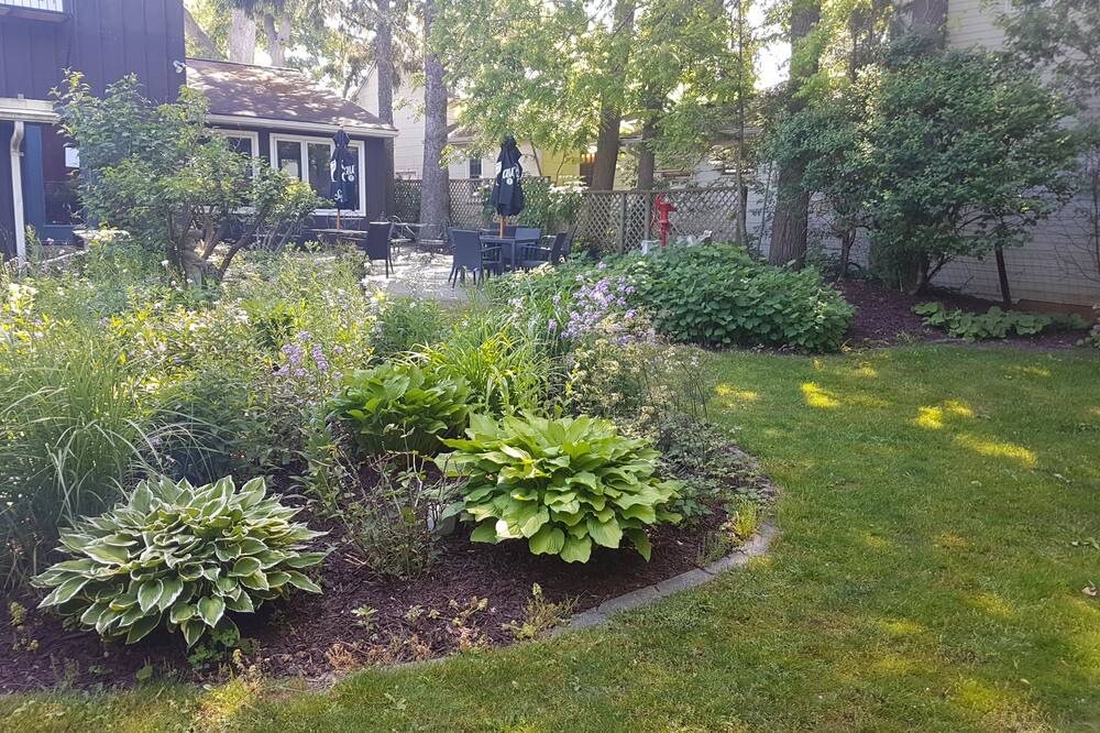 Photo of Outdoor in Bayfield