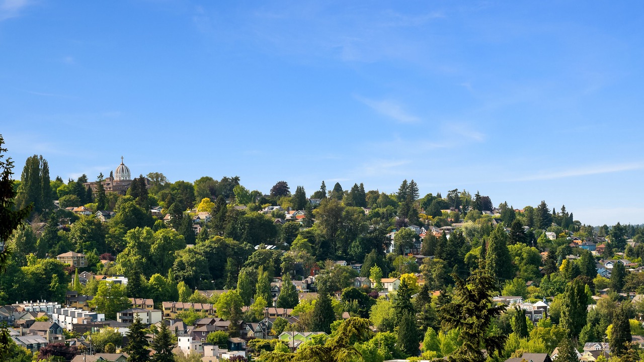 Photo of Others in Madrona