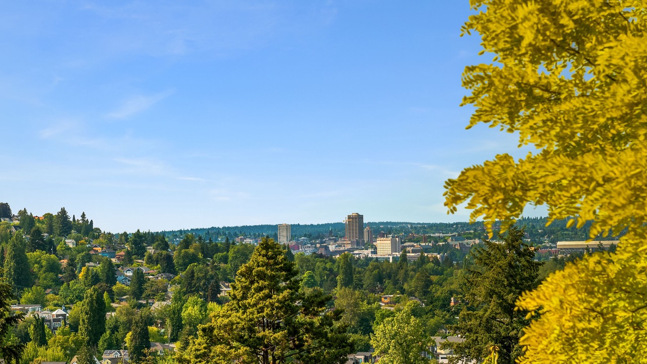 Photo of Others in Madrona