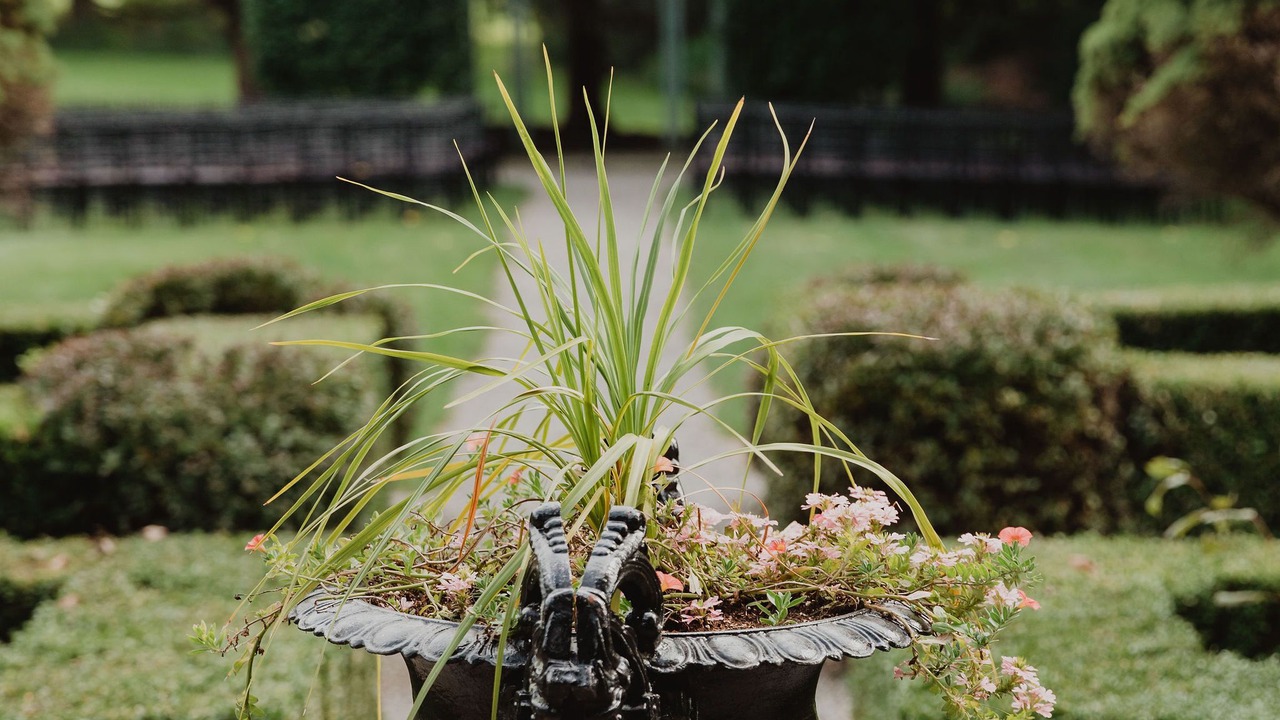 Photo of Outdoor in Groton