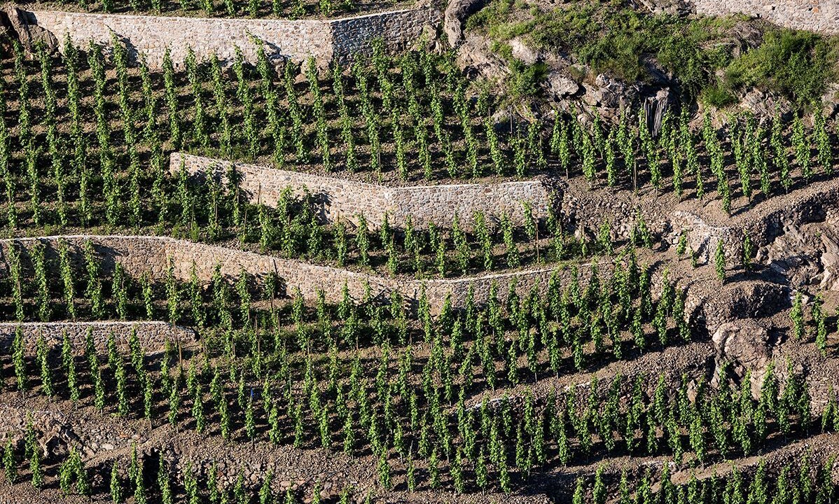 Photo of Others in Les Roches-de-Condrieu