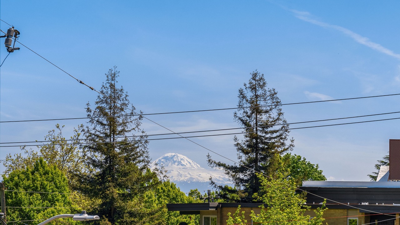 Photo of Others in Miller Park