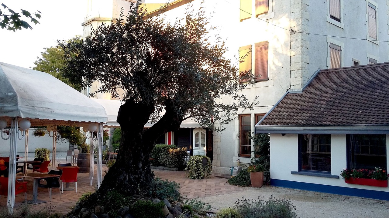 Photo of Patio Balcony in Bourgoin-Jallieu