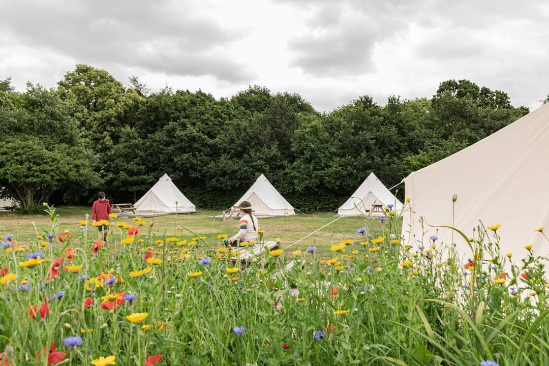 Photo of Outdoor in Netley