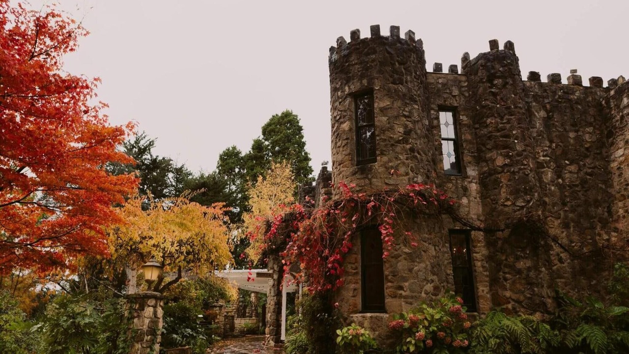 Photo of Outdoor in Basket Range